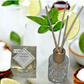 Coconut Lime Punch 150ml Reed Diffuser