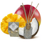 Coconut Mango 150ml Reed Diffuser