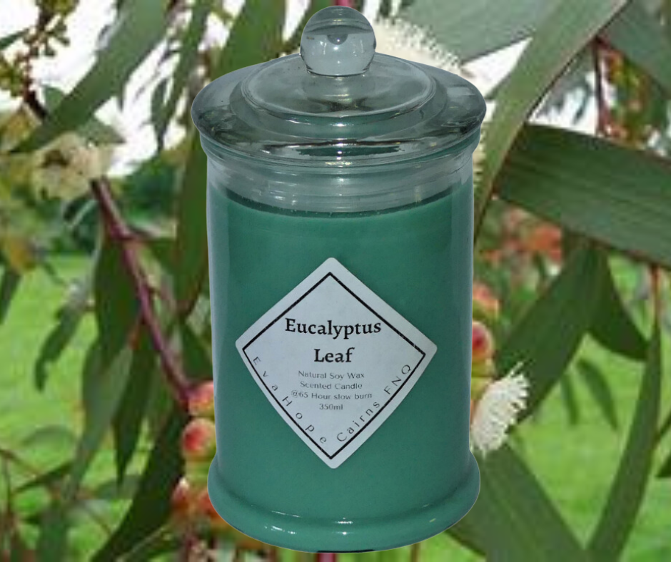 Eucalyptus Leaf 350ml Fully Scented, Natural Soy Wax. @ 65 Hr slow burn