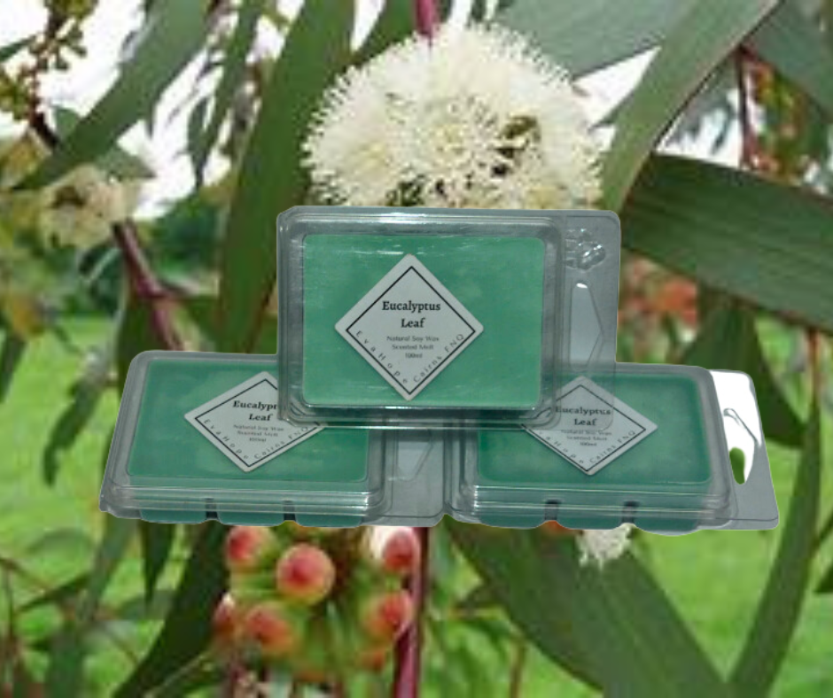 Eucalyptus Leaf 80gm Natural Soy Wax Melts