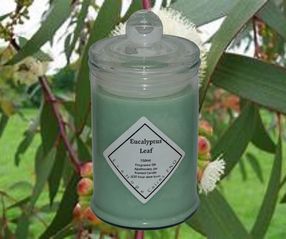 Eucalyptus Leaf 150ml Fully Scented, Natural Soy Wax. @30 Hr slow burn