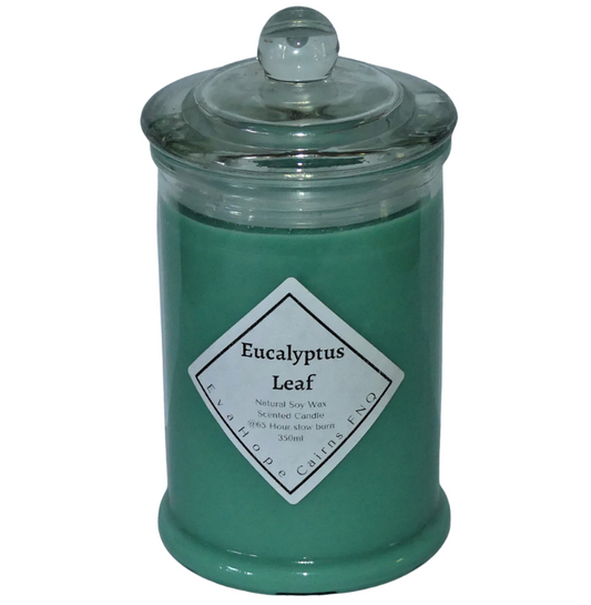 Eucalyptus Leaf 350ml Fully Scented, Natural Soy Wax. @ 65 Hr slow burn