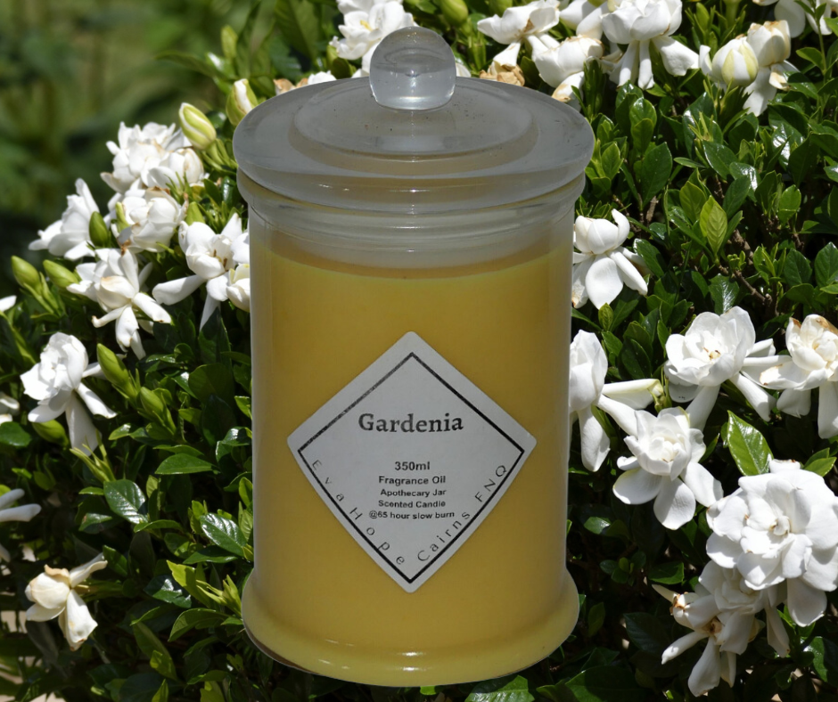 Gardenia 350ml Fully Scented, Natural Soy Wax @ 65hr Slow Burn