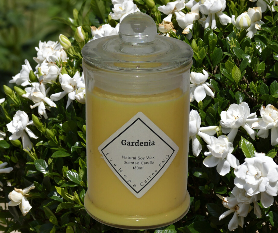 Gardenia 150gm Fully Scented, Natural Soy Wax @ 30hr slow burn