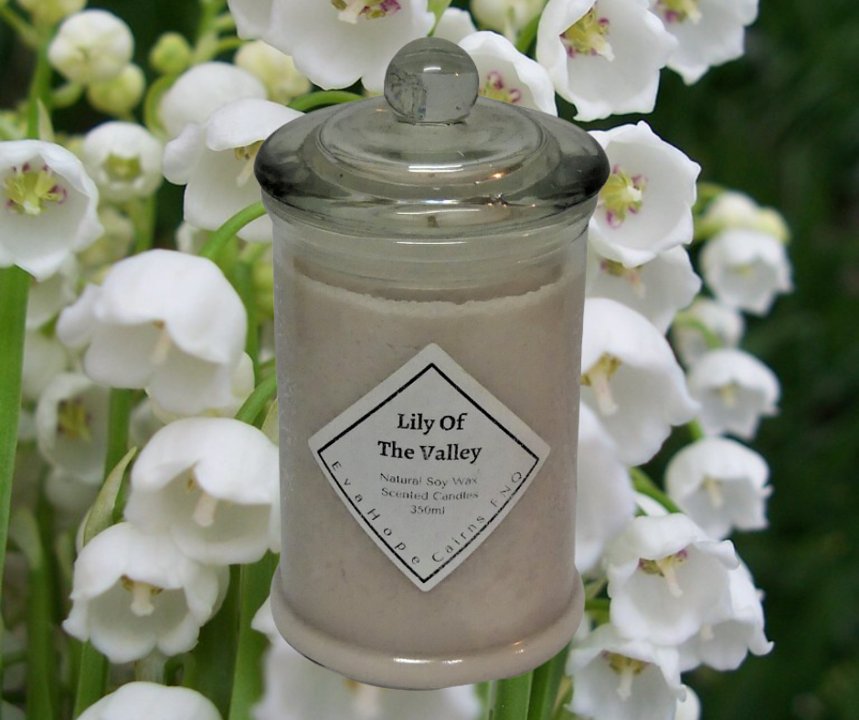 Lily Of The Valley 350ml Fully Scented, Natural Soy Wax @ 65 hr slow burn