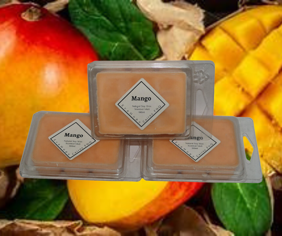 Mango -  80gm Natural Soy Wax Melts